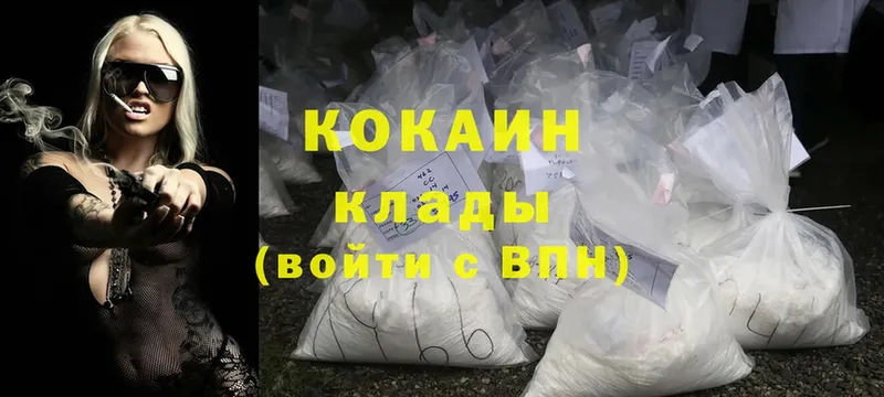 купить наркоту  Малая Вишера  Cocaine FishScale 